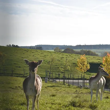 3 De Renuamont Sainte-Ode