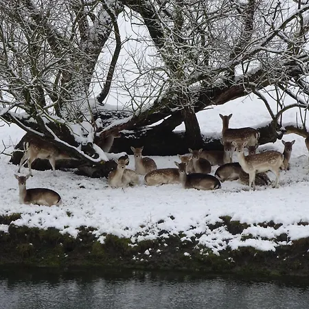 3 De Renuamont Sainte-Ode
